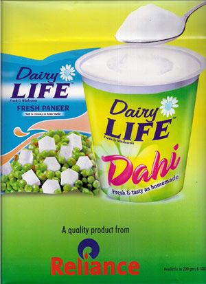Dairy Life Dahi