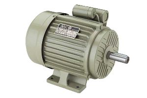 Induction Motor