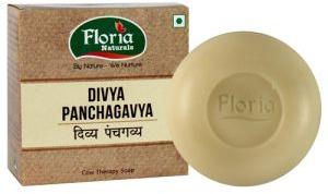 DIVYA PANCHGAVYA SOAP