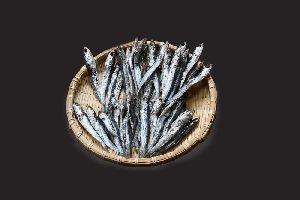 dried sardines