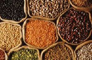 indian grains