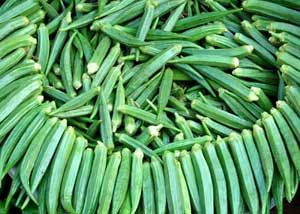 Okra