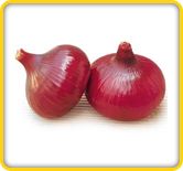 Onion