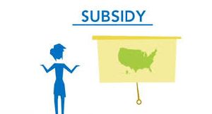 Subsidy Consulting Services