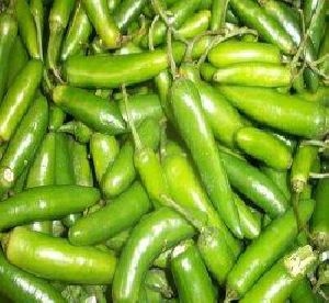 Green Chilli