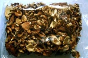 dried mashroom