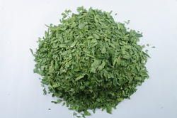 Neem Leaves