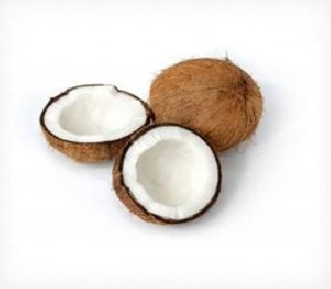 indian coconut