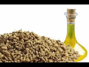 Ajwain Oil