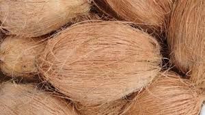 huskeds coconuts