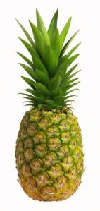 Fresh Pineapple