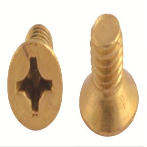 Brass Phillip Punch Screws