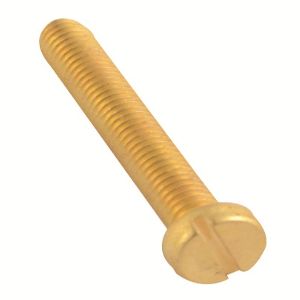 Brass Slotted Pan Screws two