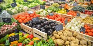 Vegetable Cold Storage Room