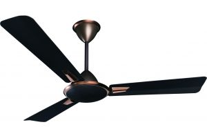 Ceiling Fans