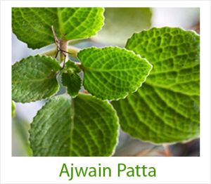 Ajwain