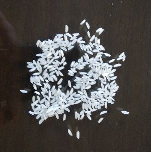 Non Basmati Rice