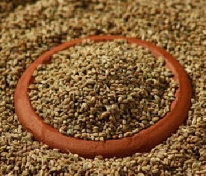 Ajwain