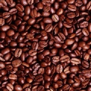 Robusta Coffee