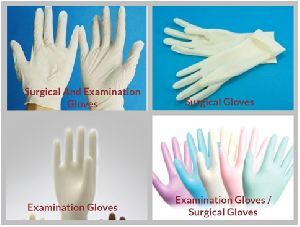 Surgical and examination Gloves
