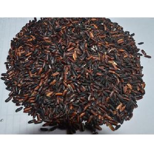 Manipuri Black Aromatic Rice