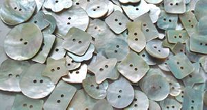 Akoya( Shell Buttons )