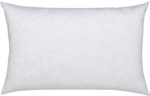 Polyester Fiber Pillow