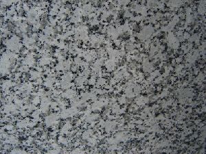 Premium Limestone Marble