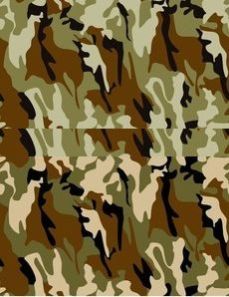 Camouflage Fabric