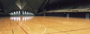 Sports Flooring