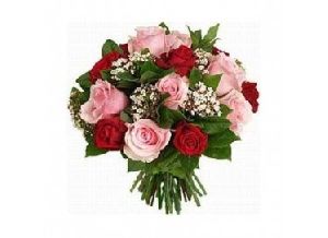 pink roses bunch