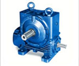 Modular Worm Gear Box