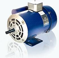 Single Phase Motors