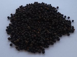 Black Pepper