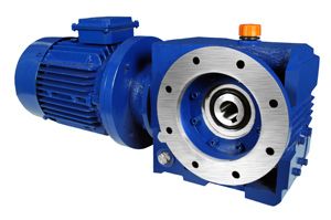 Worm Flange Mounted Gear Motor