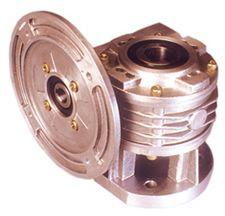 Worm Gear Motor