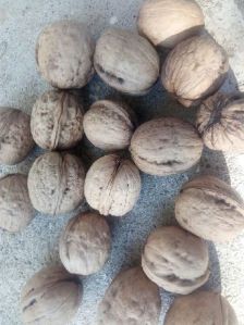 Walnuts