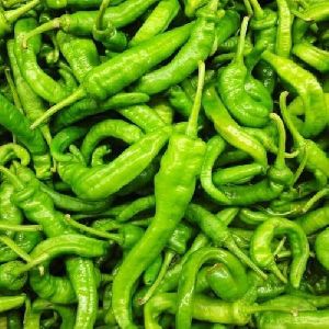 Hot Green Chilli
