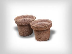 Coir Seed Germination Cups