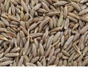 Cumin Seeds