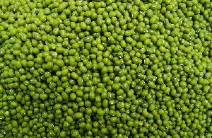 green Moong grams