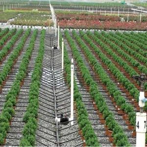 Drip Irrigation System