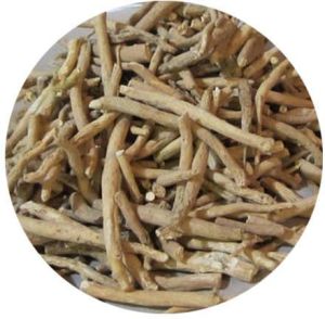 Ashwagandha Roots