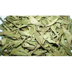 Dried Stevia Leaves