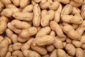 Shell Groundnuts