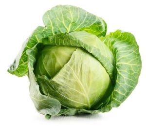 Cabbage