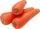 Carrot