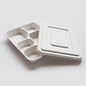 Compartment Meal Box