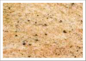 Kashmir Gold Granite