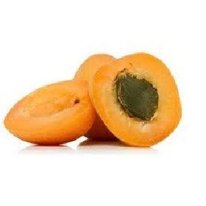 Apricot Oil